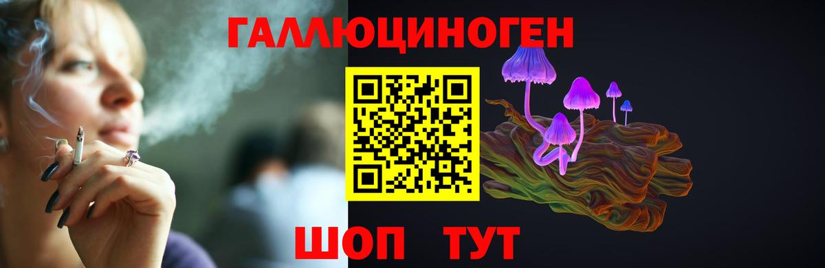 Галлюциногенные грибы Psilocybe  где можно купить   Белореченск  Псилоцибиновые грибы Psilocybine cubensis  Вход с VPN 